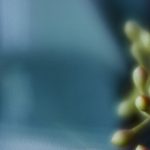 男人免费桶女人30分钟视频 jl22h5c5s